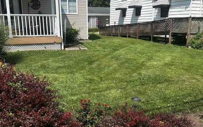 Photo of Lewis B.'s yard after getting landscaping in Columbus, OH