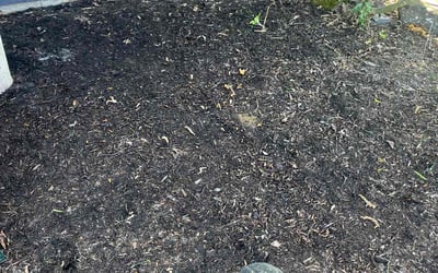 Photo of Matthew C.'s yard after getting landscaping in Port Orchard, WA