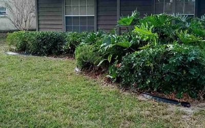 Photo of Larry C.'s yard after getting landscaping in Ferndale, FL