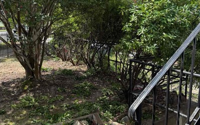 Photo of Jesse W.'s yard after getting tree care in Haymarket, VA