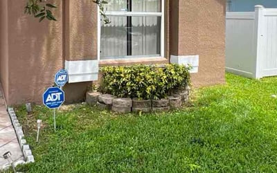 Photo of Ashley B.'s yard after getting tree care in Kissimmee, FL