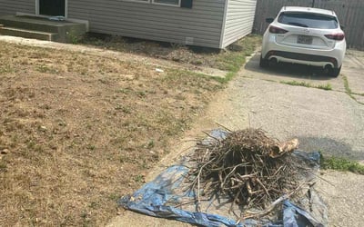 Photo of Jose M.'s yard after getting landscaping in Brownsville, OH