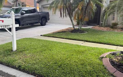 Photo of Geri C.'s yard after getting tree care in Palm Harbor, FL