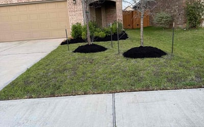 Photo of Jennifer L.'s yard after getting landscaping in Katy, TX