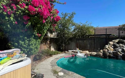 Photo of Karla M.'s yard after getting tree care in Bakersfield, CA