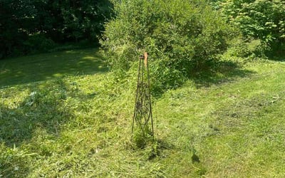 Photo of Jessica F.'s yard after getting landscaping in Rochester, NY