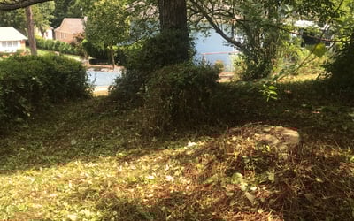 Photo of Clyde O.'s yard after getting landscaping in Alexis, NC