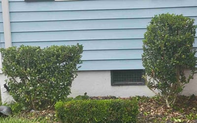 Photo of Charmian W.'s yard after getting tree care in Suffolk, VA