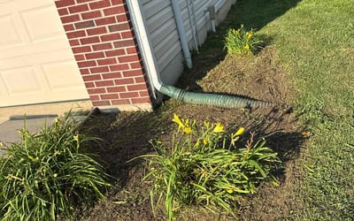 Photo of Mary R.'s yard after getting landscaping in Fishers, IN