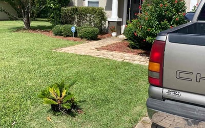 Photo of Theresa G.'s yard after getting landscaping in Hastings, FL