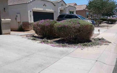 Photo of Amanda A.'s yard after getting landscaping in Maricopa, AZ