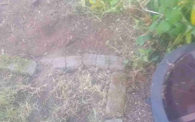 Photo of Jack P.'s yard after getting tree care in Veradale, WA