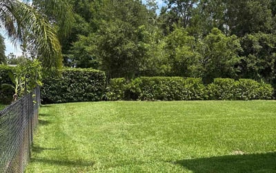 Photo of Edward T.'s yard after getting landscaping in Palm Coast, FL