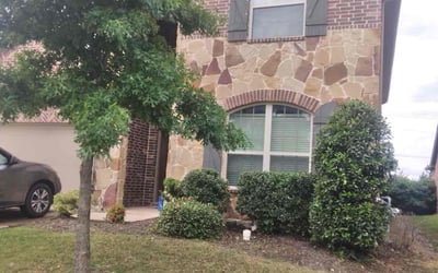 Photo of James C.'s yard after getting landscaping in Prosper, TX