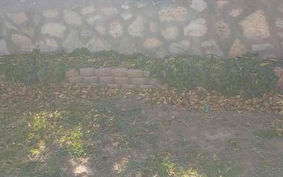 Photo of Liz M.'s yard after getting landscaping in El Paso, TX