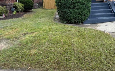 Photo of Jonathan P.'s yard after getting lawn care in Irwin, PA