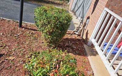 Photo of Mary S.'s yard after getting landscaping in Bryantown, MD