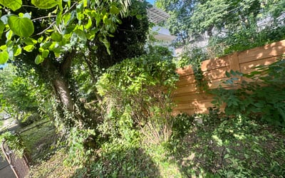Photo of Bill R.'s yard after getting landscaping in Dayton, OH