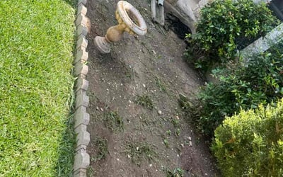 Photo of Julie D.'s yard after getting landscaping in Paige, TX
