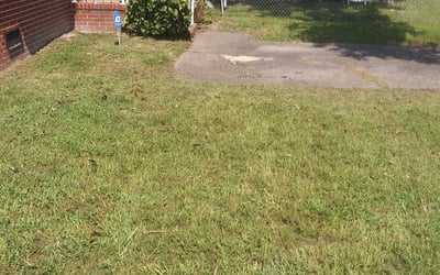 Photo of Julia W.'s yard after getting landscaping in Point Harbor, NC