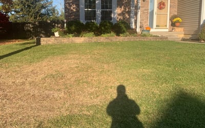 Photo of Sarah C.'s yard after getting landscaping in New Straitsville, OH