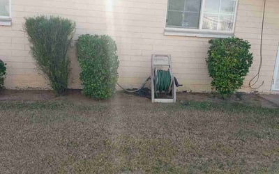 Photo of Christopher A.'s yard after getting landscaping in Bapchule, AZ