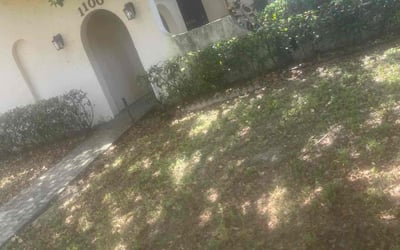 Photo of Vanessa P.'s yard after getting tree care in Pompano Beach, FL