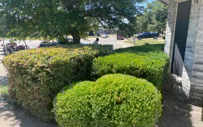 Photo of Laura E.'s yard after getting landscaping in Rhome, TX