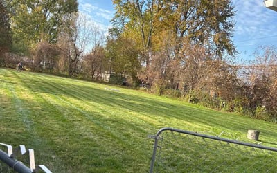 Photo of Stephanie S.'s yard after getting tree care in Clinton, MI