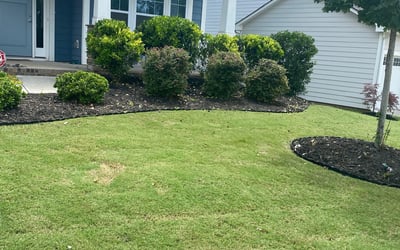 Photo of Sean M.'s yard after getting landscaping in Sharon, SC