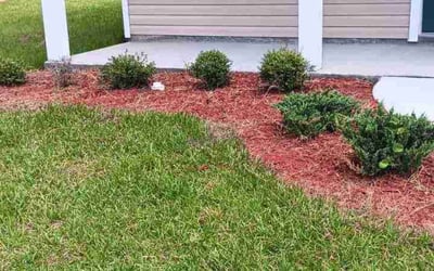 Photo of Mary S.'s yard after getting tree care in Elkton, FL