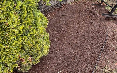 Photo of Theresa C.'s yard after getting landscaping in Everett, MA