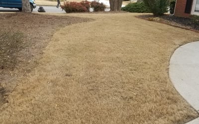 Photo of Katie D.'s yard after getting landscaping in Kingston, GA