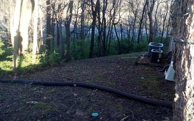 Photo of Nina M.'s yard after getting landscaping in Dickson, TN