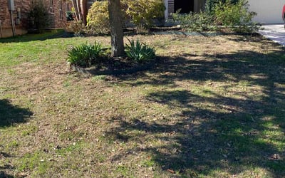 Photo of Samuel B.'s yard after getting landscaping in Tarpley, TX