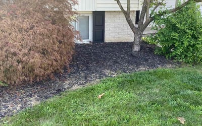 Photo of Jason B.'s yard after getting landscaping in Walled Lake, MI