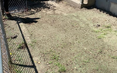 Photo of Lauren H.'s yard after getting landscaping in Hazleton, PA