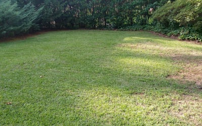 Photo of Adam P.'s yard after getting landscaping in Bowdon Junction, GA
