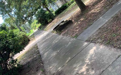 Photo of Matt E.'s yard after getting landscaping in Mc David, FL