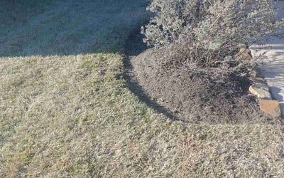 Photo of Donald F.'s yard after getting tree care in Montgomery, TX