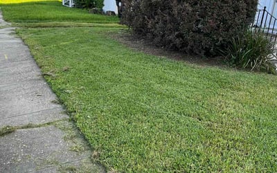 Photo of Ross C.'s yard after getting landscaping in Folsom, LA