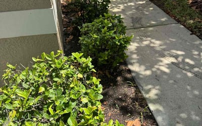 Photo of Eric B.'s yard after getting landscaping in Ruskin, FL
