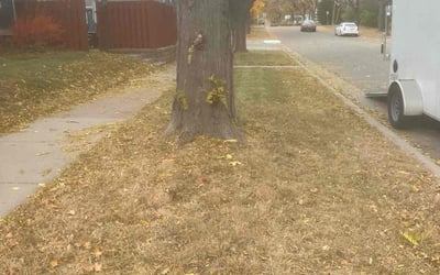 Photo of Donald C.'s yard after getting landscaping in Cleveland, MN