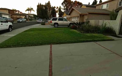 Photo of Michael S.'s yard after getting landscaping in Los Osos, CA