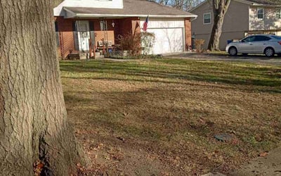 Photo of Judy H.'s yard after getting landscaping in Edison, OH