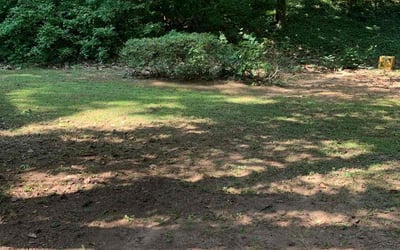Photo of Joshua J.'s yard after getting tree care in Mcdonough, GA