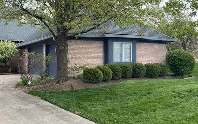 Photo of Debra T.'s yard after getting landscaping in California, KY