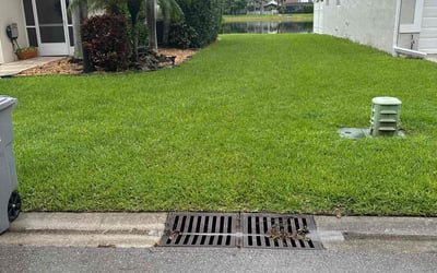 Photo of Steven D.'s yard after getting lawn care in Lake Worth, FL