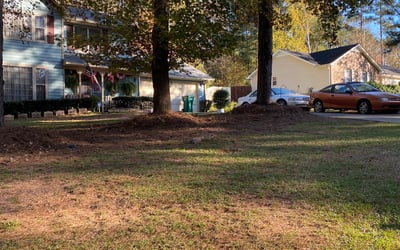 Photo of Terri R.'s yard after getting landscaping in Madison, GA