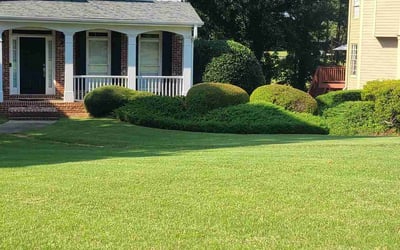 Photo of James R.'s yard after getting landscaping in Acworth, GA